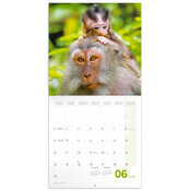 Calendrier 2025 Animaux Cutes