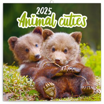 Calendrier 2025 Animaux Cutes