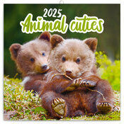 Calendrier Oursons 2025 Animaux Cutes