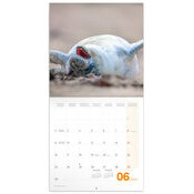 Calendrier 2025 Animaux Smiles