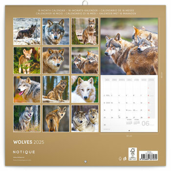 Calendrier 2025 Loups Mystérieux