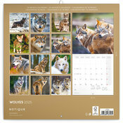 Calendrier Papier 2025 Loups Mystrieux