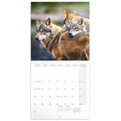 Calendrier 2025 Loups Mystrieux