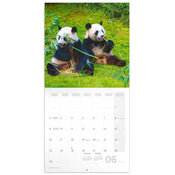 Calendrier 2025 Bambous et Pandas