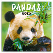 Calendrier Panda roux 2025 Bambous et Pandas