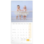 Calendrier 2025 Photos Bbs Nourrissons 