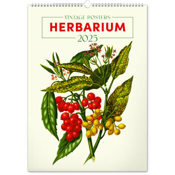 Maxi Calendrier 2025 Affiches Herbier Botanique Vintage