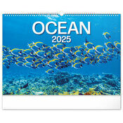 Maxi Calendrier Poissons 2025 Ocan Vie Sous Marine