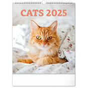 Calendrier Mural 2025 Chats Sublimes