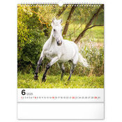 Calendrier 2025 Chevaux Sublimes