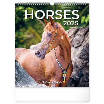 Calendrier 2025 Chevaux Sublimes