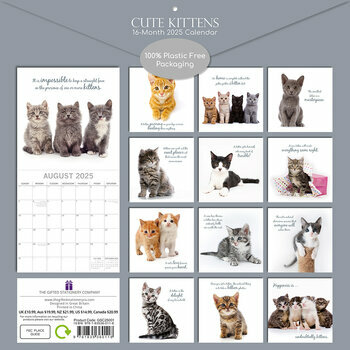 Calendrier 2026 Chatons Mignons Fond Blanc