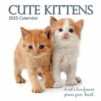 Calendrier 2025 Chatons Mignons Fond Blanc