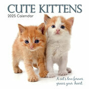 Calendrier Mural 2025 Chatons Mignons Fond Blanc