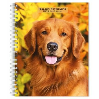 Agenda 2025 Spirale Chien Race Golden Retriever