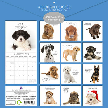 Calendrier 2025 Chiens Adorables Fonds Blancs