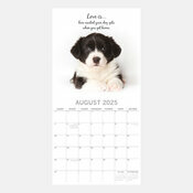 Calendrier 2025 Chiens Adorables Fonds Blancs