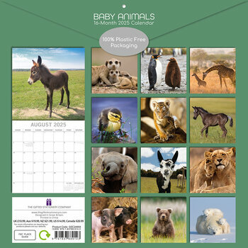 Calendrier 2025 Bébés Animaux Ours Ane