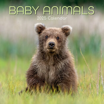 Calendrier 2025 Bébés Animaux Ours Ane