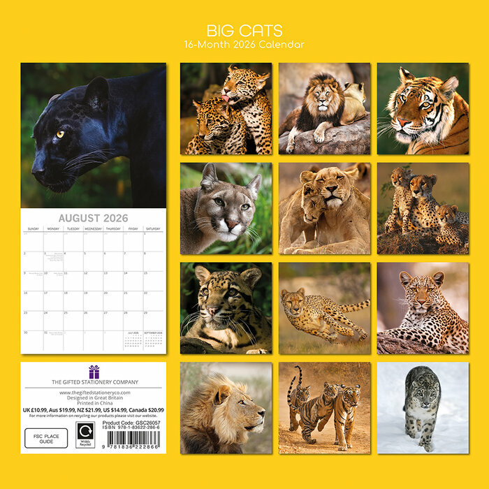 Calendrier Mural 2026 Grands Félins Panthère Lion 