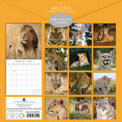 Calendrier 2025 Grands Flins Panthre Lion Tigre