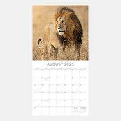 Calendrier Papier 2025 Grands Flins Panthre Lion Tigre