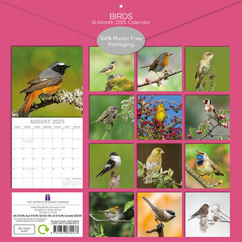 Calendrier 2025 Oiseaux Communs Jardins