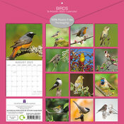 Calendrier Papier 2025 Oiseaux Communs Jardins