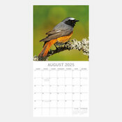 Calendrier Chardonneret 2025 Oiseaux Communs Jardins