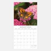 Calendrier Insecte 2025 Papillons du Jardin