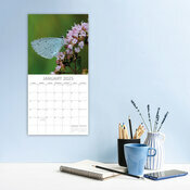 Calendrier 2025 Papillons du Jardin