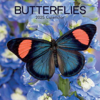 Calendrier 2025 Papillons du Jardin