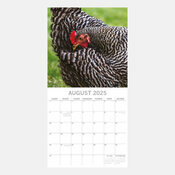 Calendrier Sussex 2025 Poules de nos Jardins