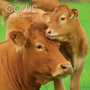 Calendrier 2025 Ferme et Vaches