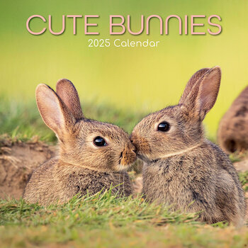 Calendrier 2025 Lapins Mignons et Campagne