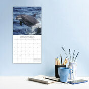 Calendrier 2025 Animaux Marins Dauphins