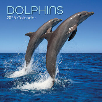 Calendrier 2025 Animaux Marins Dauphins