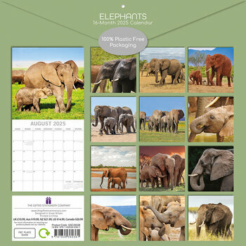 Calendrier 2025 Eléphants Asie et Afrique