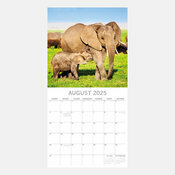 Calendrier 2025 Elphants Asie et Afrique Elephanteau