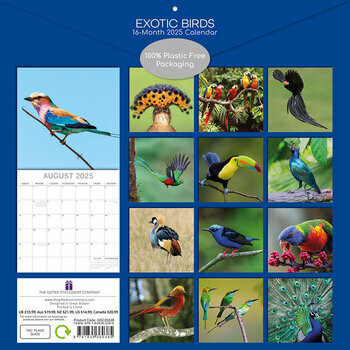 Calendrier 2025 Oiseaux Exotiques