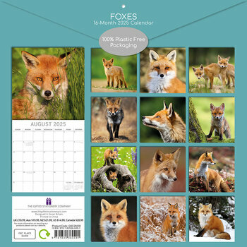 Calendrier 2025 Renards Malicieux