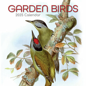 Calendrier 2025 Dessins Oiseaux du Jardins