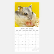 Calendrier Rongeur 2025 Nacs Hamster