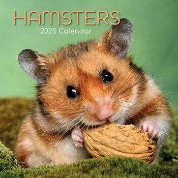 Calendrier 2025 Nacs Hamster