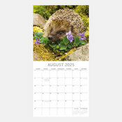 Calendrier foret 2025 Hrissons de nos Jardins