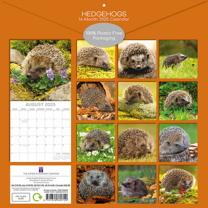 Calendrier Papier 2025 Hérissons de nos Jardins
