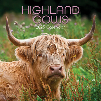 Calendrier 2025 Vaches des Highlands