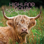 Calendrier Mural 2025 Vaches des Highlands