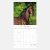 Calendrier Cheval 2025 Chevaux Nature