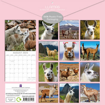 Calendrier 2025 Camélidé Lamas